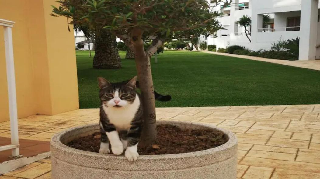 Casa En Urb. Con La Piscina Mas Grande De Javea. Kültér fotó
